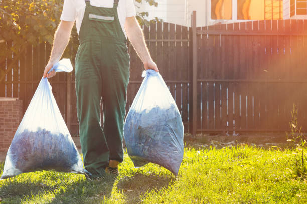 Best Shed Removal  in Circle Pines, MN