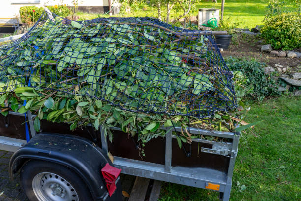 Best Property Management Cleanouts  in Circle Pines, MN